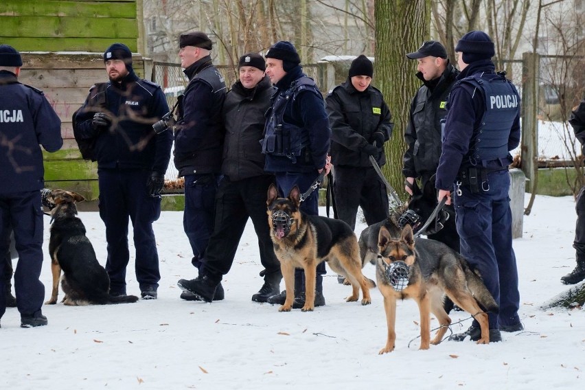 Białystok. Demon w akcji, czyli szkolenie policyjnych psów służbowych