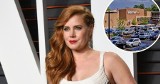 "Kings of America". Netflix zapowiada nowy serial z Amy Adams w roli głównej! Tematem przewodnim... Walmart