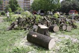 Wycięli 36 drzew, aby postawić sklep. Mieszkańcy bloków przy ul. Lutomierskiej są oburzeni [FILM]