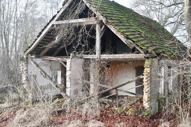 Opuszczone domy i gospodarstwa w Nowej Ameryce można spotkać niemal w każdej z tutejszych wsi. Niektóre stare domy budzą grozę.