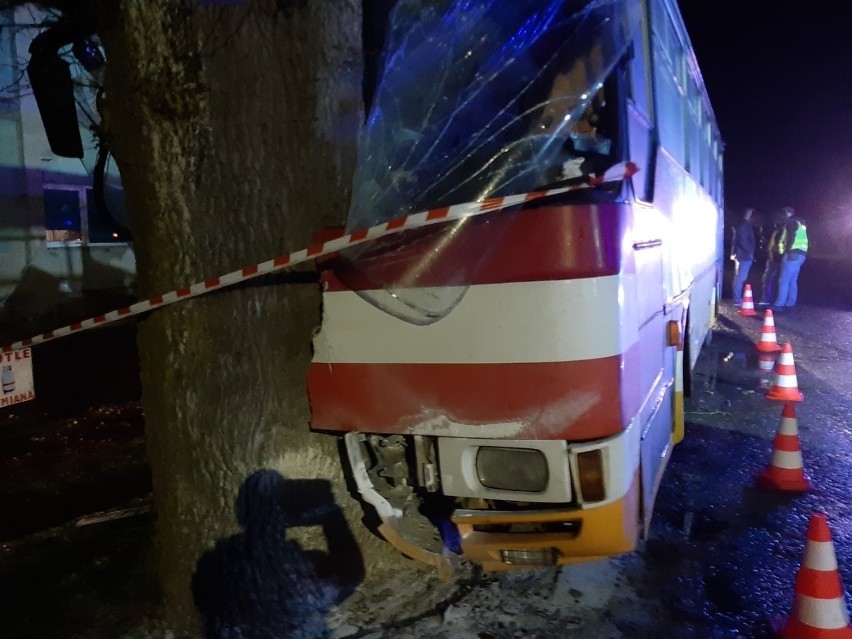 Groźny wypadek: Autobus z dziećmi uderzył w drzewo. Są poszkodowani