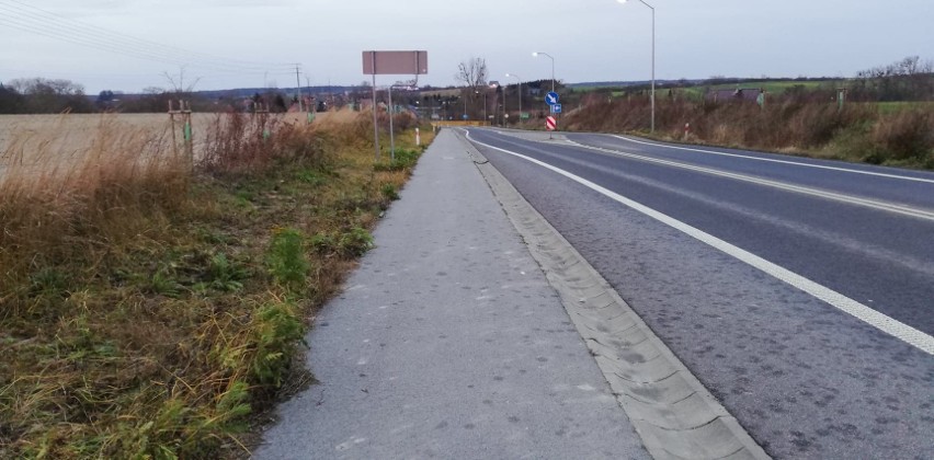 Trasa rowerowa w okolicach Gryfina i Puszczy Bukowej będzie dłuższa. Połączy trzy miejscowości