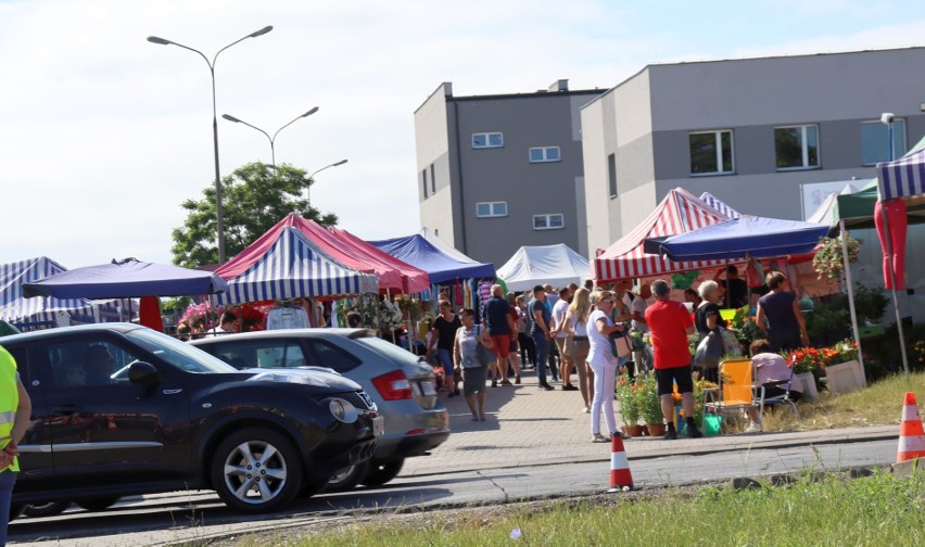 Tłumy na targowisku w Wierzbicy. Kończą się truskawki. Czereśnie tanieją. Sporo wakacyjnych promocji. Zobacz zdjęcia