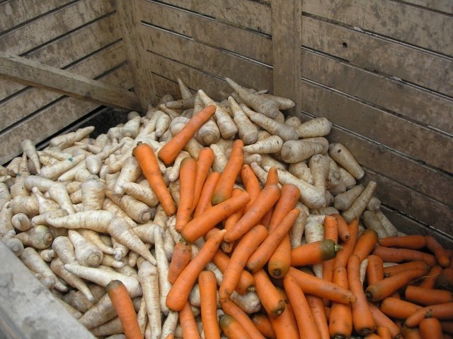 Przetwórnia warzyw w Choczewku