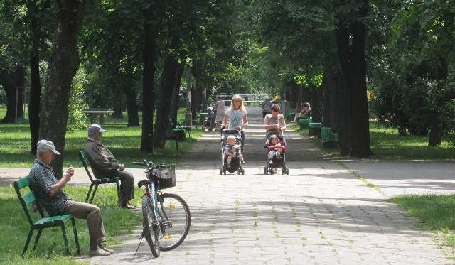 Przebudowa głównej alejki w parku na osiedlu Planty w Radomiu będzie kosztowała blisko 800 tysięcy złotych.