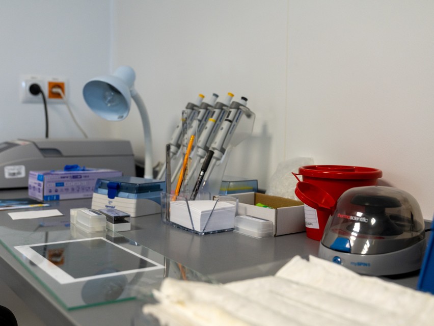 W Klinicznym Szpitalu Wojewódzkim nr 1 w Rzeszowie ruszyły badania cytogenetyczne oraz FISH u pacjentów z nowotworami krwi 