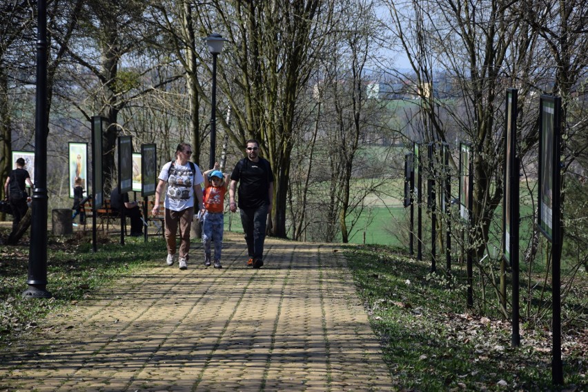 Śląski Ogród Botaniczny. Międzynarodowy Dzień Ptaków