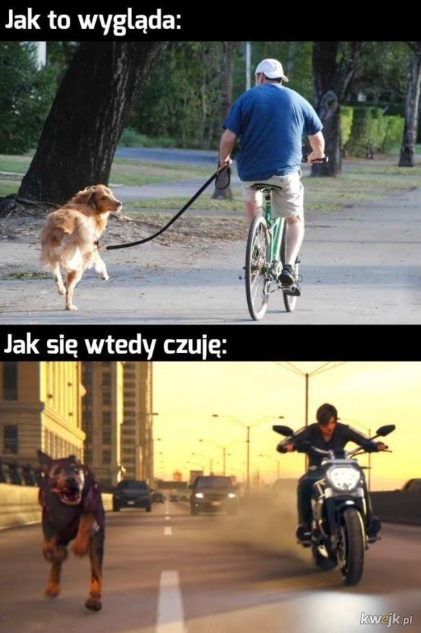 Oto najfajniejsze memy o rowerzystach i rowerzystkach! Internauci uwielbiają ten temat. Można pęknąć ze śmiechu
