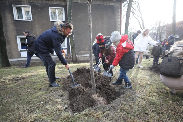 Dzieciaki z Miejskiego Przedszkola nr 48 posadziły drzewa wspólnie z prezydentem miasta.