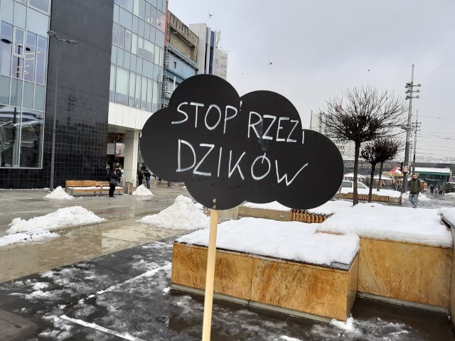 Zapowiedź akcji Stop rzezi dzików w Katowicach