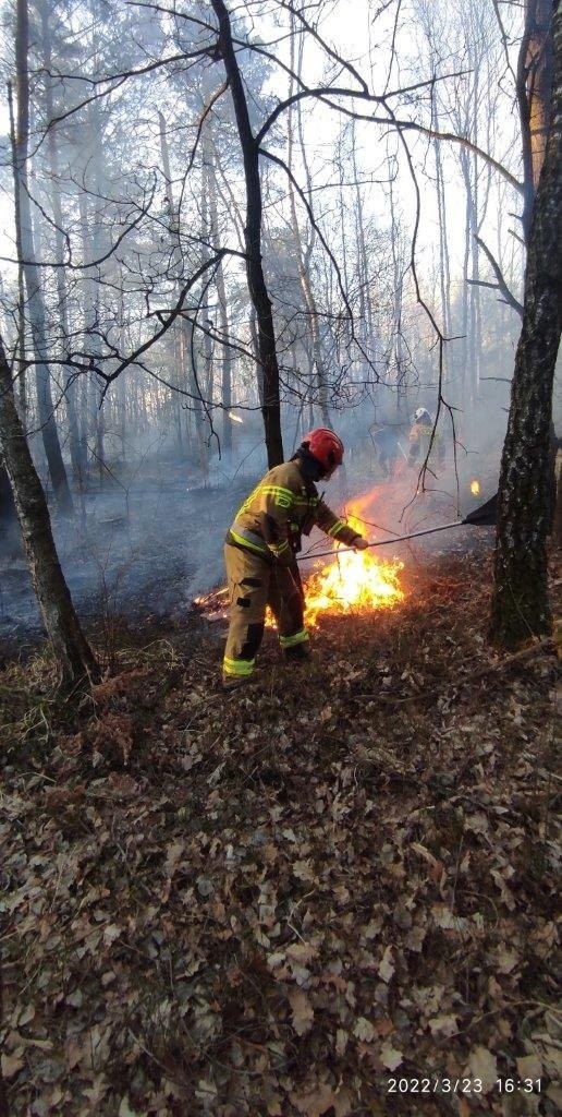 Lubelskie. Kolejny pożar na terenie Parczewa. Spłonęło ok. 3 ha łąk i 2 ha lasu