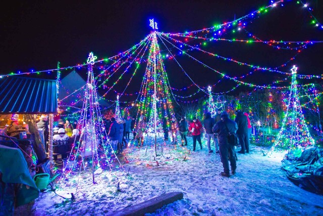 Zakończenie iluminacji świątecznych u pana Kazimierza Michonia z Damnicy