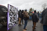 Polsko czeski protest rolników na granicach. Polacy chcą pokazać swoją solidarność. Postulaty są te same