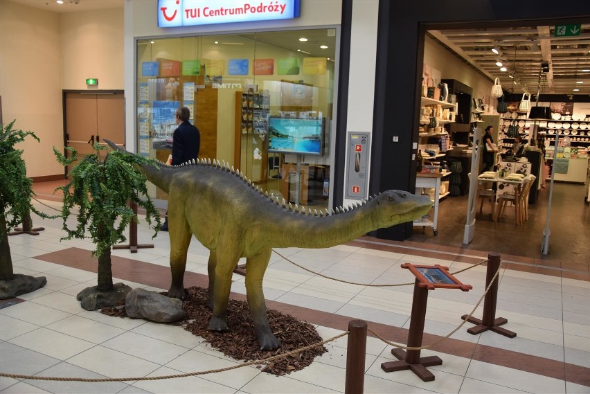 Dinozaury śmieszą i straszą w Galerii Jurajskiej