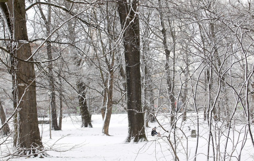 Park i dworek Chłapowskich na osiedlu Słocina w Rzeszowie.