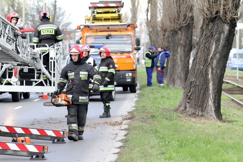 Utrudnienia na Ślężnej. Strażacy ścieli drzewo pochylone nad trakcją (ZDJĘCIA)