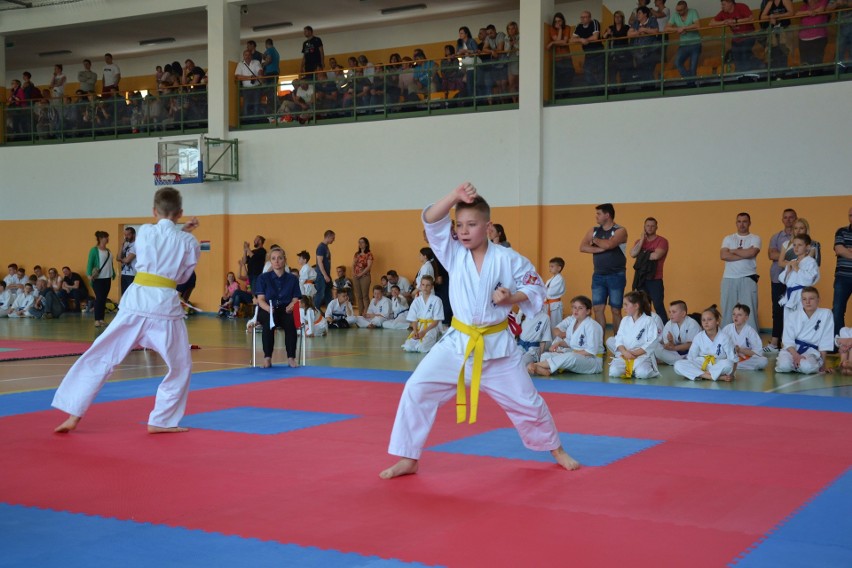 Młodzi mistrzowie karate kyokushin [ZDJĘCIA]