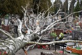 Wichura powaliła drzewa na cmentarzu przy ul. Marulewskiej w Inowrocławiu. Są zniszczone groby [zdjęcia]