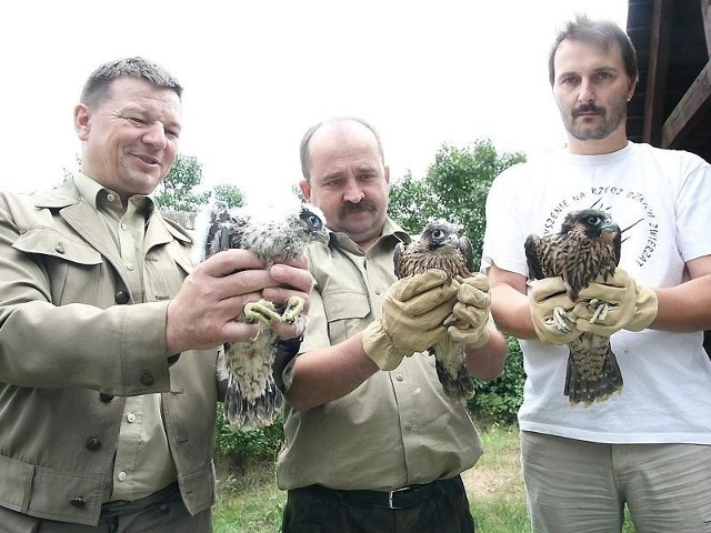 Na zdjęciu (od prawej): Sławomir Sielicki z SNRDZ, Zbigniew Piotrkowski, leśniczy leśnictwa Kukawy i Mieczysław Olewnik, inżynier nadzoru nadleśnictwa. 