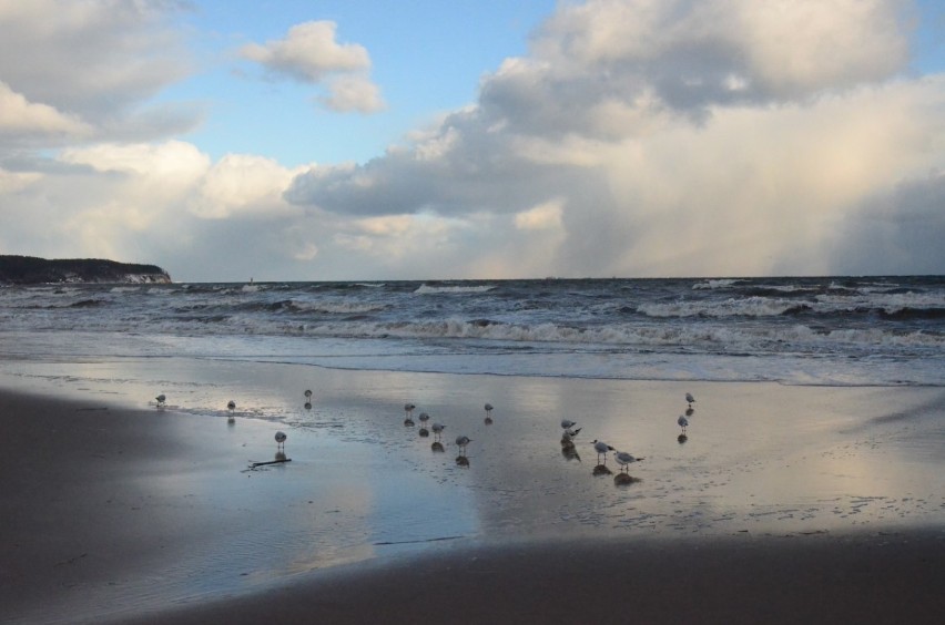 Spacer po sopockiej plaży. Zima na Pomorzu. Wybraliśmy się na spacer nad morze [ZDJĘCIA] 