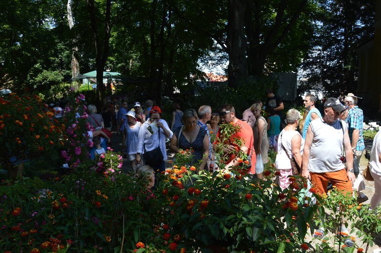 45. Lato Kwiatów w Otmuchowie rozpocznie się 29 czerwca