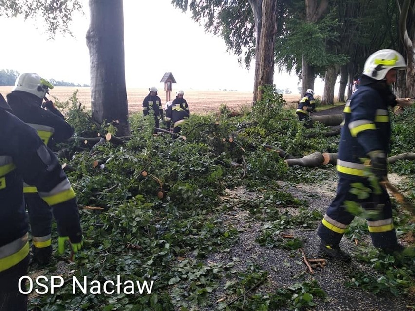 OSP Nacław: - O godzinie 17:05 zostaliśmy zadysponowani do...