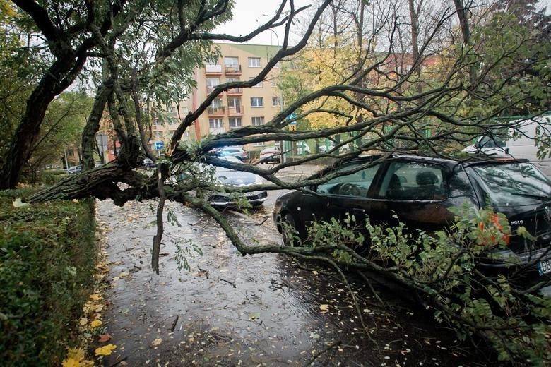 ORKAN GRZEGORZ w Łódzkiem. Strażacy: noc była spokojna [ORKAN GRZEGORZ 30.10.17]