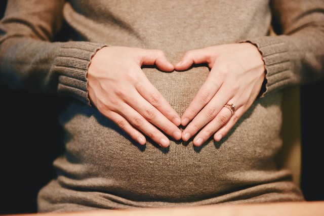 Do końca grudnia, dzięki programowi uzyskano 37 ciąż, z czego 16 w 2019 roku i 21 ciąż w 2020 roku