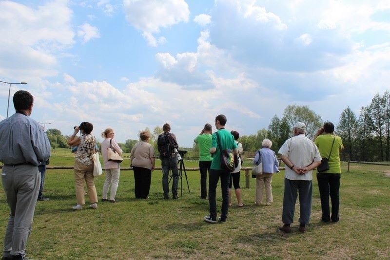 Chaszcze im nie straszne. Seniorzy podglądają ptaki