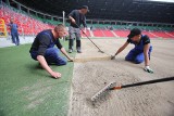 MŚ do lat 20 Polska 2019: Dlaczego warto przyjść na mecze w Bielsku-Białej i Tychach