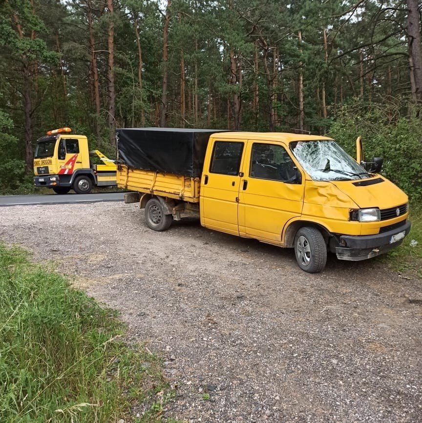 Łodziska. Zderzenie z łosiem. Zwierze wpadło wprost pod