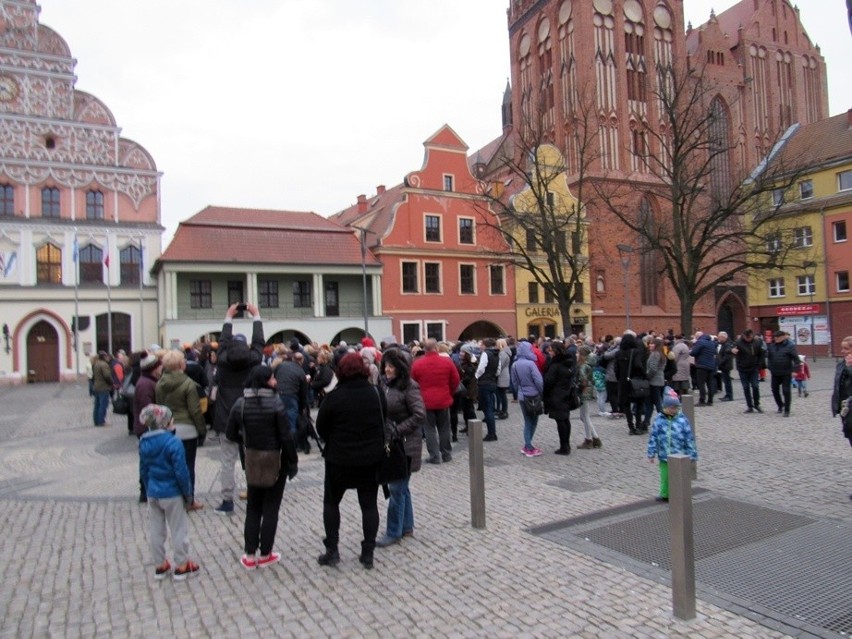 Pikieta nauczycielka na Rynku Staromiejskim w Stargardzie