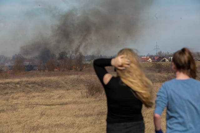 Trwa płonęła w Cegielniku w powiecie toruńskim, w gminie Zławieś Wielka. Akcja jest już zakończona. 