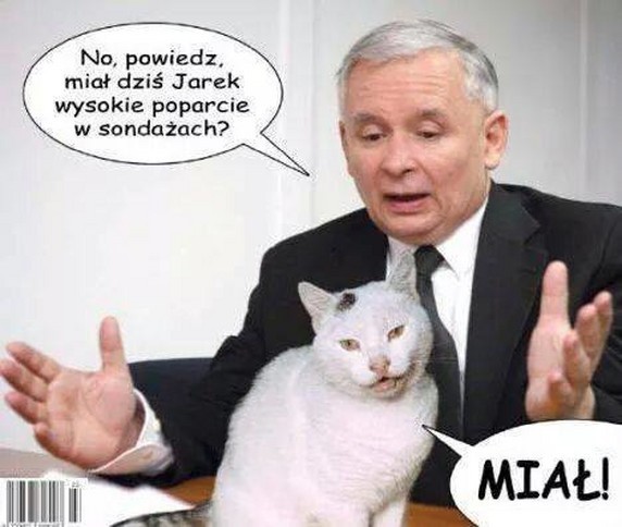 Najśmieszniejsze memy o wyborach do Sejmu i Senatu 2019