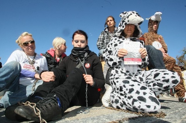 Na znak protestu przeciwko trzymaniu psów na łańcuchu uczestnicy akcji przykuli się łańcuchami do budy. Pierwsza z lewej Aleksandra Bąk, koordynator akcji.