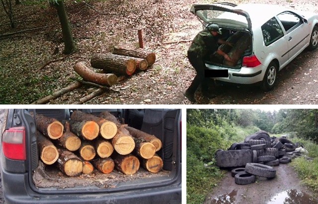 W tym roku leśnicy zapowiadają z jednej strony, że będą starali się sprostać ogromnemu popytowi na drewno. Z drugiej zapowiadają monitorowanie stosów z drewnem, aby nie dochodziło do kradzieży.