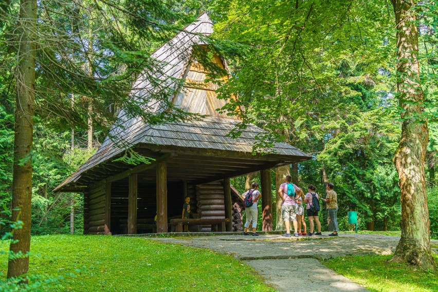 Krynica - Zdrój. Góra Parkowa oblegana przez turystów. To jedno z najpopularniejszych miejsc w sądeckim uzdrowisku [ZDJĘCIA]