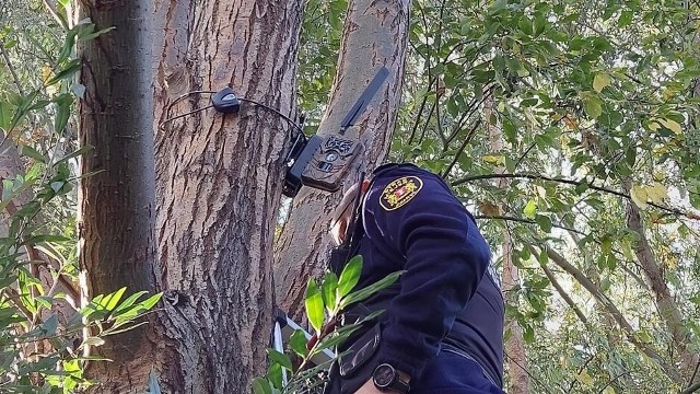 Gdańsk. Sprzątał mieszkanie po najemcach. Odpady postanowił wyrzucić w "ustronnym" miejscu. Wpadł na gorącym uczynku przez fotopułapkę