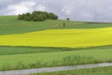 Miliony na scalenia gruntów rolnych w pięciu powiatach