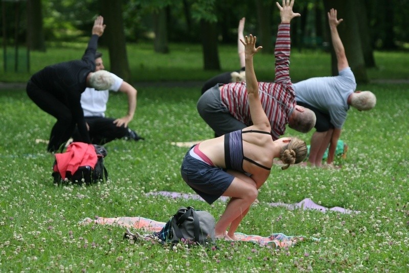 Ruszają zajęcia z MOSiR w łódzkich parkach. Nordic walking i ogólnorozwojowe