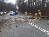 W Okocimiu na DK 75 kierowca audi próbował ominąć drzewo, które spadło na jezdnię. Wylądował w rowie
