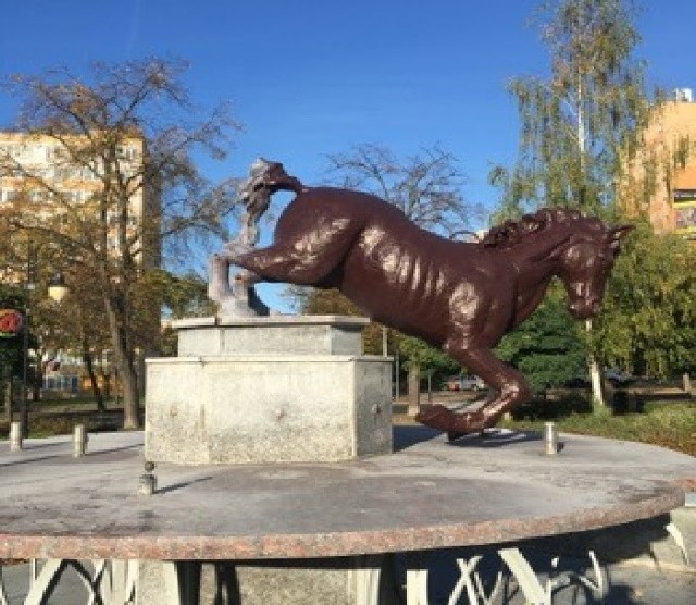Taki widok zastali w sobotę rano mieszkańcy Konina. W nocy wandal uszkodził figurę konia z fontanny w centrum miasta.