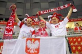 Euro 2016. Fantastyczni polscy kibice na meczu Polska-Serbia [NOWE ZDJĘCIA, WIDEO]