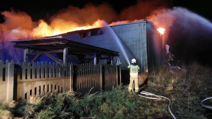 W wyniku pożaru w Szamocinie spaleniu uległy dwie hale i...
