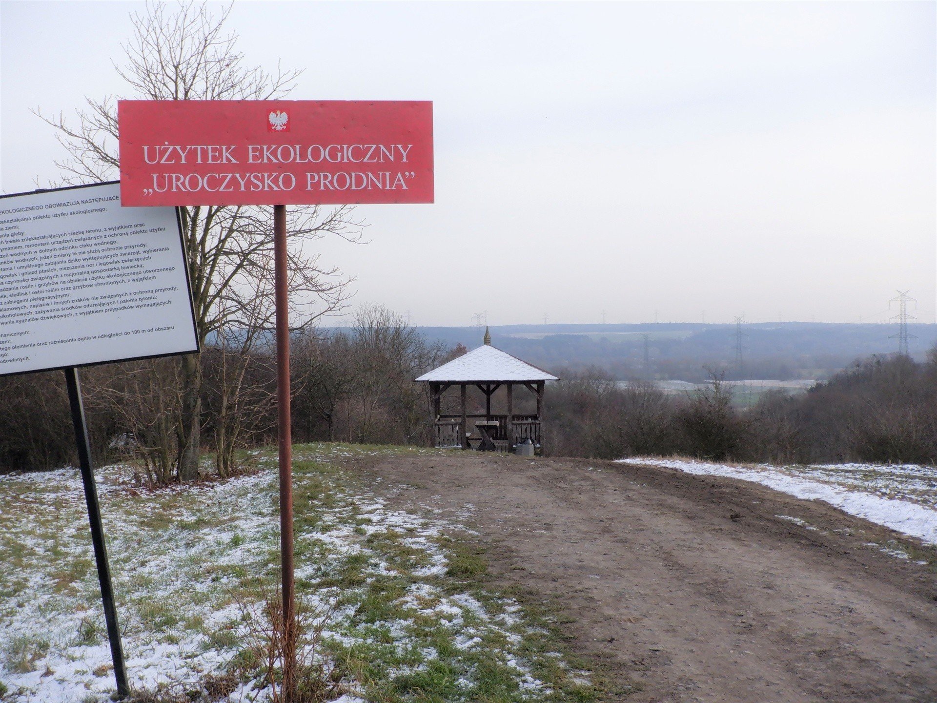 Pogoda W Kujawsko Pomorskiem Resztki Niegu Ukrywaj Si W Lasach I Na Polach Zdj Cia