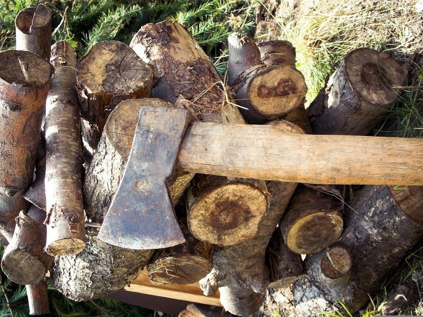Kujawsko-Pomorskie. Kradną drewno z lasów i wpadają "na gorącym". To strach przed drogą zimą?