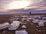 Turawa. Brzegi Jeziora Dużego skute lodem. Taka zima nad wodą co najmniej do czwartku [ZDJĘCIA]