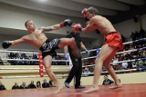 Gala Golden League Muay Thai w Bydgoszczy za nami [zdjęcia]