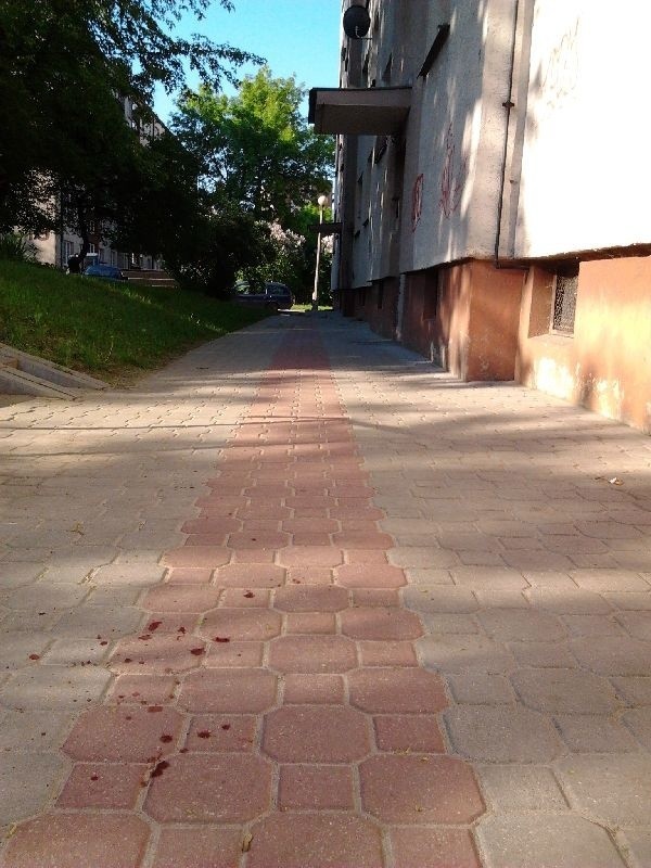 Po sprzeczce mężczyzn we wtorkowy wieczór w osiedlu KSM w Kielcach zostały ślady krwi na chodniku.