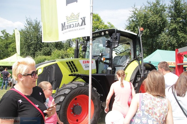 Upalna pogoda nie odstraszyła zwiedzających i kupujących. Podczas 39. Dni Otwartych Drzwi w Zarzeczewie (cześć Włocławka) chętni mogli zobaczyć maszyny rolnicze, obejrzeć drób, a także zakupić sadzonki kwiatów i innych roślin ozdobnych. Na dwudniowej imprezie nie brakowało występów zespołów folklorystycznych. Nagrody w konkursie „Hit wystawy 39. DOD” powędrowały do: firmy Henkor z Topólki, firmy Kalchem z Wielkiego Głęboczka i Kujawskiej Spółdzielni Mleczarskiej z Włocławka. Tytuł „Najefektowniejsza wystawa targów” to kolekcja odmian stworzona przez pracowników KPODR Minikowo oddział Zarzeczewo.